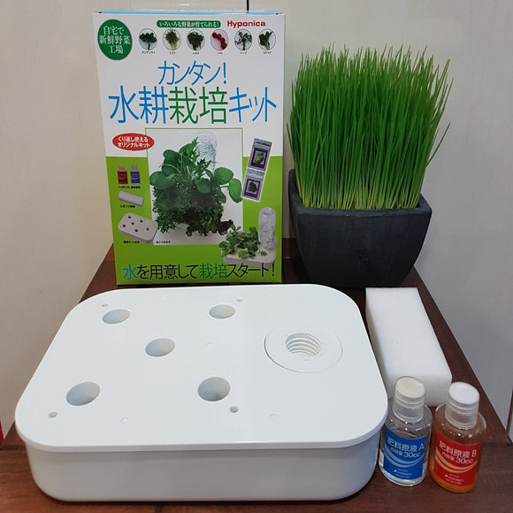 HOME HYPONICA CULTIVATION KIT 水耕培植套裝　栽培キット